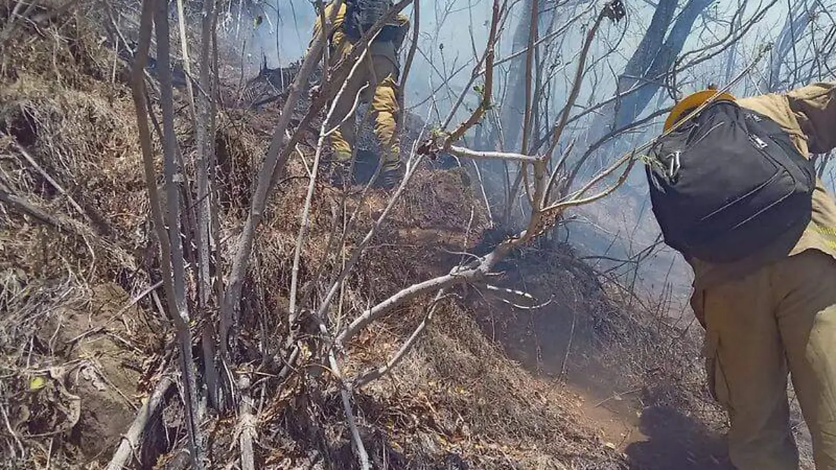 INCENDIOS TLAJOMULCO